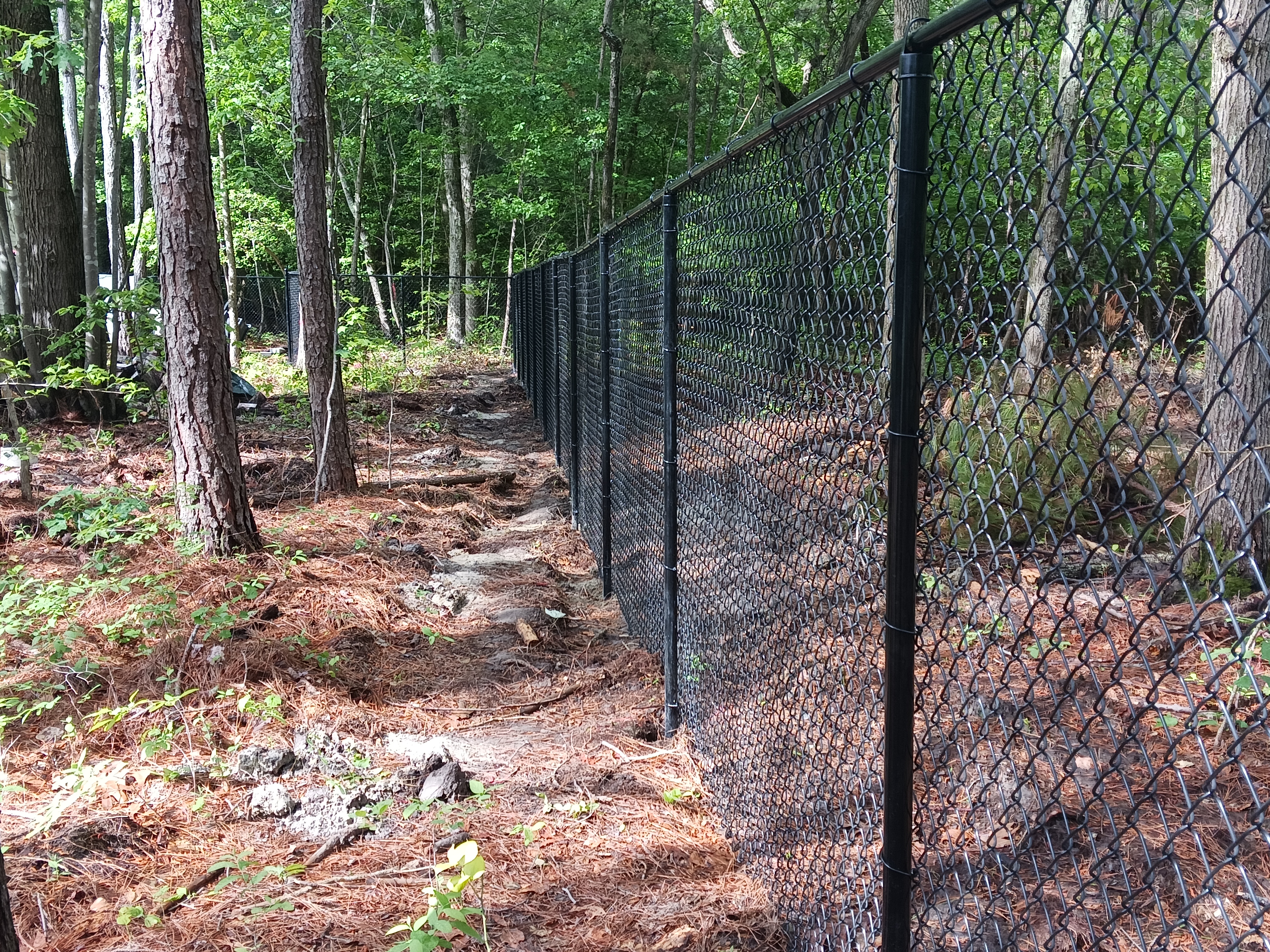 Black chain-link fence installed through a wooded property line.